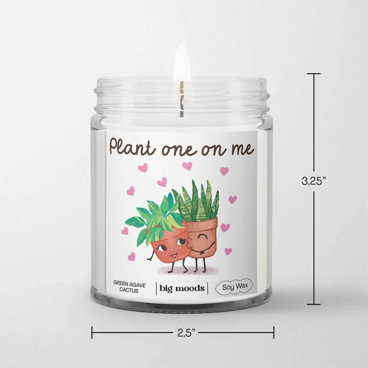 "Plant One On Me" Green Agave Cactus - 5oz Soy Candle