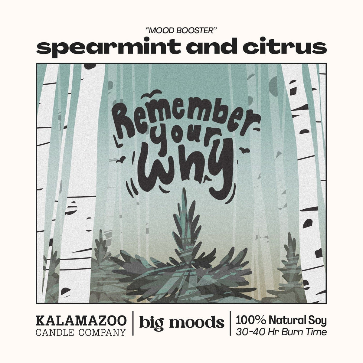 "Remember Your Why" Spearmint & Citrus - 5oz Soy Candle