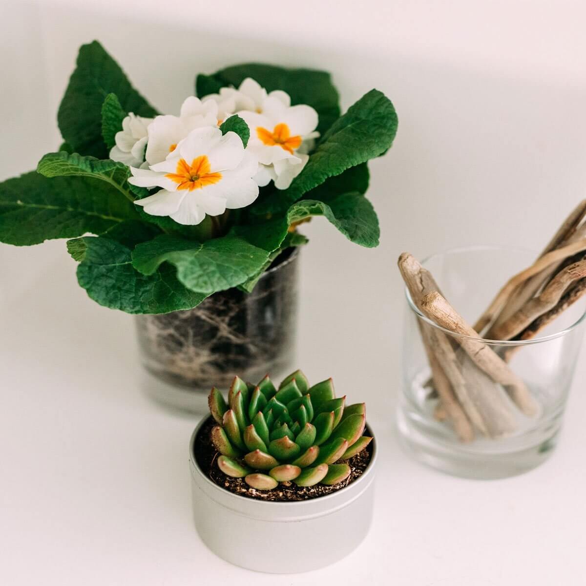 Empty Candle Jars: The Décor You Didn't Know You Needed
