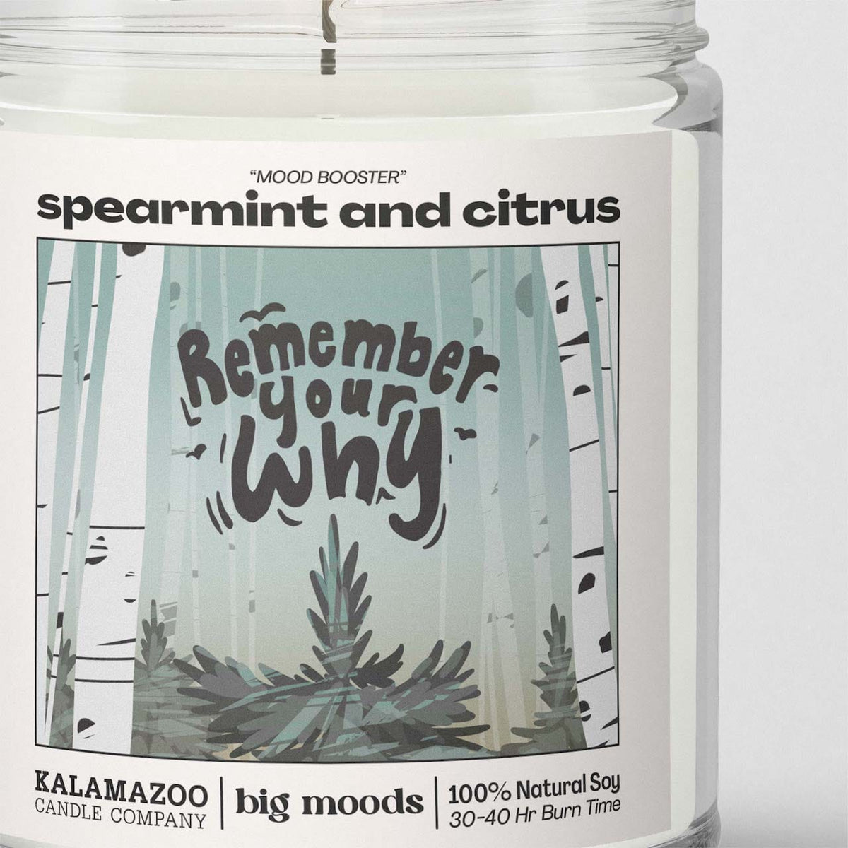 "Remember Your Why" Spearmint &amp; Citrus - 5oz Soy Candle