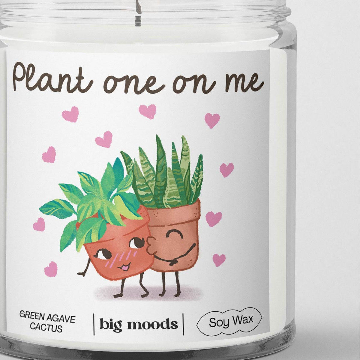"Plant One On Me" Green Agave Cactus  - 5oz Soy Candle